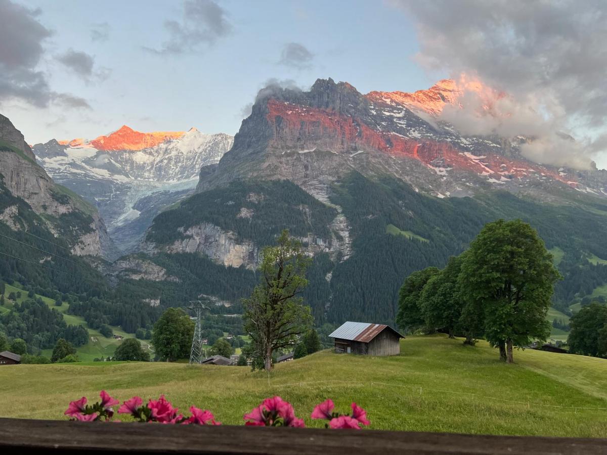 Hotel Bodmi Grindelwald Zewnętrze zdjęcie