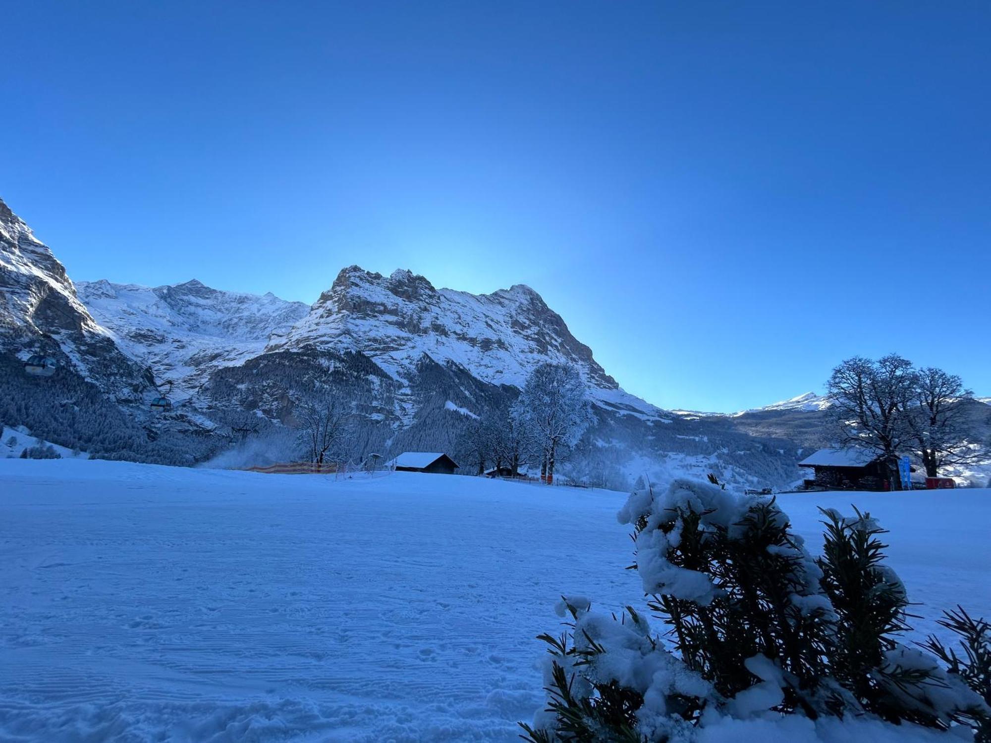 Hotel Bodmi Grindelwald Zewnętrze zdjęcie