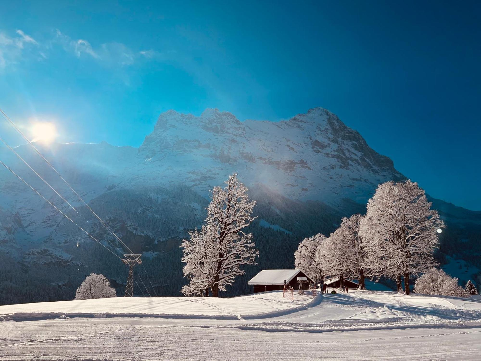 Hotel Bodmi Grindelwald Zewnętrze zdjęcie